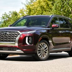 2020 Hyundai Palisade Burgundy