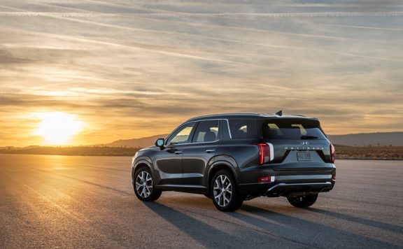 2020 Hyundai Palisade On The Beach