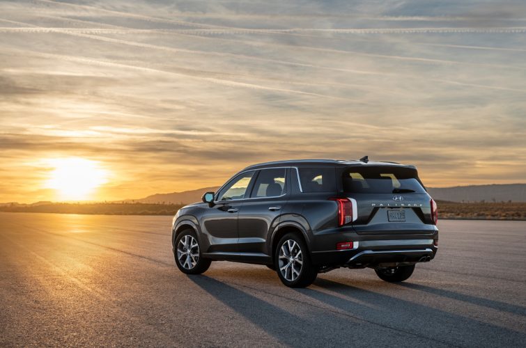 2020 Hyundai Palisade On The Beach