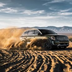 2020 Kia Telluride In Sand Dunes