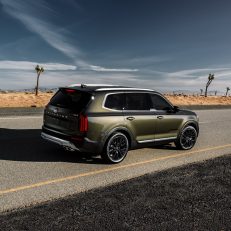 2020 Kia Telluride Rear Side Profile