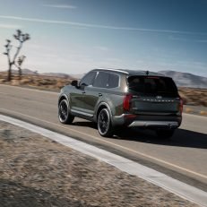 2020 Kia Telluride Rear View